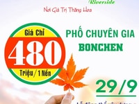 Gold Star Riverside -32 lô đất nền thổ cư SHR đường Đinh Đức Thiện Gold Star Riverside -32 lô đất nền thổ cư SHR đường Đinh Đức Thiện