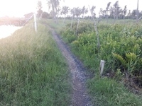Bán 2600m² Đất Vườn, Có 300m² Thổ Cư ,600m² Đất lúa Tại Tân Phú Đông Bán 2600m² Đất Vườn, Có 300m² Thổ Cư ,600m² Đất lúa Tại Tân Phú Đông