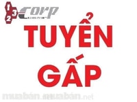 Tuyển Lái Xe B2 ,C D, E , FE, FC (bổ túc Lái Mới) Phụ Xe Tại BẮC GIANG Tuyển Lái Xe B2 ,C D, E , FE, FC (bổ túc Lái Mới) Phụ Xe Tại BẮC GIANG
