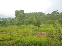 Cần bán 9700m2 khuôn viên gọn gàng tại xã Hợp Hòa, Huyện Lương Sơn Cần bán 9700m2 khuôn viên gọn gàng tại xã Hợp Hòa, Huyện Lương Sơn