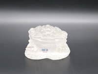 Ý nghĩa và cách đặt Thiềm Thừ trong Phong Thủy Tại Tiền Giang Ý nghĩa và cách đặt Thiềm Thừ trong Phong Thủy Tại Tiền Giang
