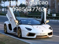 Mua xe ô tô đã qua sử dụng các loại giá cao Mua xe ô tô đã qua sử dụng các loại giá cao