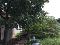 Mở quán ở Sài gòn, nhà cần bán 405m2 đất ngay cổng Siêu Thị lớn BD Mở quán ở Sài gòn, nhà cần bán 405m2 đất ngay cổng Siêu Thị lớn BD