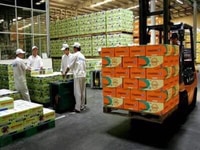 Việc làm lái xe , lơ xe khu vực hcm tuyển trực tiếp Việc làm lái xe , lơ xe khu vực hcm tuyển trực tiếp