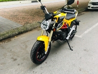 Agusta mini màu vàng biển HN mua 6/2019 Agusta mini màu vàng biển HN mua 6/2019