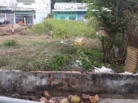 Bán 3 nền thổ cư lộ Ngân Hàng thông qua khu Đại Ngân Bán 3 nền thổ cư lộ Ngân Hàng thông qua khu Đại Ngân