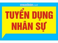 Công ty cần tuyển gấp 02 nhân viên văn phòng hành chính nhân sự Công ty cần tuyển gấp 02 nhân viên văn phòng hành chính nhân sự