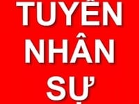 Công ty DPA tuyển 03 NV giao nhận phát thư từ, tài liệu Công ty DPA tuyển 03 NV giao nhận phát thư từ, tài liệu