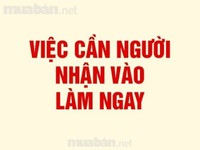 Tuyển gấp lao động phổ thông bán hàng nhận việc ngay Tuyển gấp lao động phổ thông bán hàng nhận việc ngay
