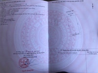 Cần bán lô Đất Biệt Thự Đường 7m5 Bùi Viện ,ĐNẵng. Cần bán lô Đất Biệt Thự Đường 7m5 Bùi Viện ,ĐNẵng.