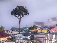 Cần bán gấp nhà biệt thự mặt tiền Trần quang Khải phường 8 TP Đà Lạt Cần bán gấp nhà biệt thự mặt tiền Trần quang Khải phường 8 TP Đà Lạt
