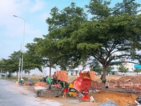 Vị trí: Nằm trên MT đường lớn Trần Văn Giàu (lộ giới 60m) các vòng xoa Vị trí: Nằm trên MT đường lớn Trần Văn Giàu (lộ giới 60m) các vòng xoa