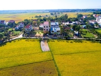 Bán lô đất view lúa hẻm oto Cửa Đại Bán lô đất view lúa hẻm oto Cửa Đại