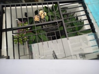Bán nhà hẻm đường 21, PL A, Q.9 giá 4.65 tỷ 2 lầu Bán nhà hẻm đường 21, PL A, Q.9 giá 4.65 tỷ 2 lầu