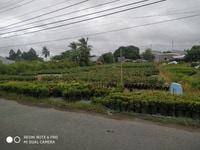 Đất Sadec mt đường hoa chính chủ. Đất Sadec mt đường hoa chính chủ.