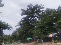 Cần bán nhà mặt tiền Đường Võ Văn Kiệt, Phường 8, Thành phố Trà Vinh Cần bán nhà mặt tiền Đường Võ Văn Kiệt, Phường 8, Thành phố Trà Vinh
