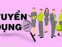 Tuyển 8 nam nữ bán hàng tại chỗ Tuyển 8 nam nữ bán hàng tại chỗ