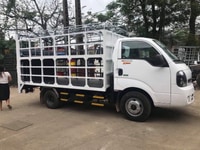 Bán Xe Tải Thaco Kia K250 Bửng Nâng Chở Lợn Bán Xe Tải Thaco Kia K250 Bửng Nâng Chở Lợn
