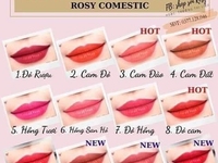 SON ROSY CAO CẤP, GIÁ 180.000Đ SON ROSY CAO CẤP, GIÁ 180.000Đ
