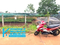 Đất Thổ cư 11*24,7m,hẻm 57 Nguyễn Lương Bằng,chưa qua Nhà Thờ Hòa Bình Đất Thổ cư 11*24,7m,hẻm 57 Nguyễn Lương Bằng,chưa qua Nhà Thờ Hòa Bình