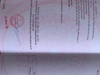 Cần Bán 1 sào /500tr đất làm xưởng, xây trọ SHR Cần Bán 1 sào /500tr đất làm xưởng, xây trọ SHR