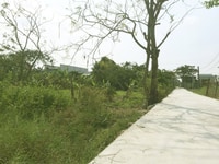 500 m2 đất vườn Cần Giuộc, Trị Yên Riverside, chỉ 2.6 tr/m2 500 m2 đất vườn Cần Giuộc, Trị Yên Riverside, chỉ 2.6 tr/m2