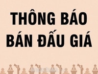 Công Ty Đấu Giá Hợp Danh Thị Trí thông báo đấu giá tài sản Công Ty Đấu Giá Hợp Danh Thị Trí thông báo đấu giá tài sản