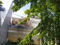 Chính chủ cho thuê nhà mt số 5 Trường sơn, f4 tân bình 5x24m chỉ 65tr Chính chủ cho thuê nhà mt số 5 Trường sơn, f4 tân bình 5x24m chỉ 65tr