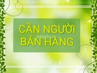 Cần nữ bán hàng dịp Tết và lâu dài Cần nữ bán hàng dịp Tết và lâu dài