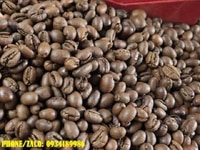 Tìm đối tác phân phối cà phê hạt nguyên chất tại quận Đống Đa Tìm đối tác phân phối cà phê hạt nguyên chất tại quận Đống Đa