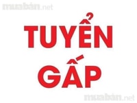 Siêu thị Mini tuyển2 nhân viên nam nữ bán hàng Siêu thị Mini tuyển2 nhân viên nam nữ bán hàng