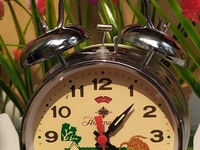 Đồng hồ chạy cơ gà trồng 2 chuông Đồng hồ chạy cơ gà trồng 2 chuông