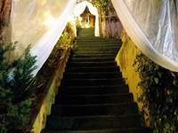 Cần bán lại homestay 900m2 view đẹp, sang tên ra sổ nhanh. Cần bán lại homestay 900m2 view đẹp, sang tên ra sổ nhanh.