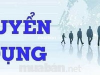 Tuyển 07 nhân viên lao động phổ thông Tuyển 07 nhân viên lao động phổ thông