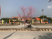 Bán lô thổ cư TL 824, thị trấn Hiệp Hòa, tỉnh Long An Bán lô thổ cư TL 824, thị trấn Hiệp Hòa, tỉnh Long An