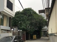 Chính chủ cho thuê tầng 2+3, số 7A, ngõ 52 phố Ngọc Lâm, Long Biên Chính chủ cho thuê tầng 2+3, số 7A, ngõ 52 phố Ngọc Lâm, Long Biên