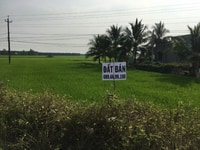 Bán17m mặt tiền TL816,ngã 3 cây điệp, Đức Huệ- Long An Bán17m mặt tiền TL816,ngã 3 cây điệp, Đức Huệ- Long An