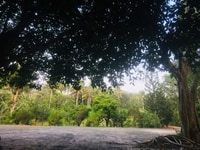 Chính chủ bán 10ha - 25,5ha giáp ranh KĐT mới Becamex BDương - BàuBàng Chính chủ bán 10ha - 25,5ha giáp ranh KĐT mới Becamex BDương - BàuBàng