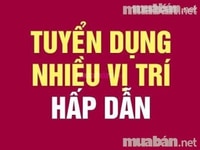 🏆🏆Cần tuyển thêm NV văn phòng , bán hàng ưu tiên sinh viên 🏆🏆Cần tuyển thêm NV văn phòng , bán hàng ưu tiên sinh viên