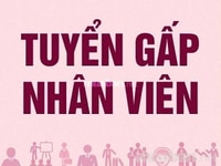 Cửa hàng cần tuyển NV bán hàng Ưu tiên người lớn tuổi Cửa hàng cần tuyển NV bán hàng Ưu tiên người lớn tuổi