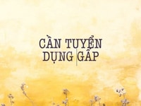 😀 Tuyển NV tư vấn, bán hàng ưu tiên sinh viên, nội trợ 😀 Tuyển NV tư vấn, bán hàng ưu tiên sinh viên, nội trợ
