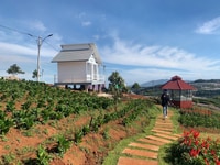 Đất nền Homestay Xuân Trường Đà Lạt Đất nền Homestay Xuân Trường Đà Lạt