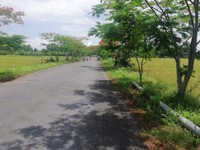 Giá rẻ bất ngờ cần bán 6319m2 đất mặt tiền 43m Giá rẻ bất ngờ cần bán 6319m2 đất mặt tiền 43m
