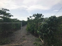 Khu nghỉ dưỡng Bảo Lộc Lâm Đồng 9400m2 Khu nghỉ dưỡng Bảo Lộc Lâm Đồng 9400m2