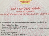 Cần tiền bán gấp nhà hẻm Nguyễn Quý Yêm, An Lạc, Bình Tân Cần tiền bán gấp nhà hẻm Nguyễn Quý Yêm, An Lạc, Bình Tân
