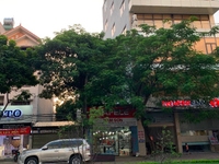 Bán nhà MP Lạc Long Quân, trung tâm quận Tây Hồ, DT 95m2, 8 tầng Bán nhà MP Lạc Long Quân, trung tâm quận Tây Hồ, DT 95m2, 8 tầng