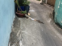 Nhà Nguyễn đình Chính- Phú Nhuận . 36m giá 4,1 tỷ Nhà Nguyễn đình Chính- Phú Nhuận . 36m giá 4,1 tỷ