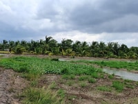 Cần bán lô đất vườn 1000m2 xã Phú Đông,Nhơn Trạch.Liền kề khu dân cư Cần bán lô đất vườn 1000m2 xã Phú Đông,Nhơn Trạch.Liền kề khu dân cư