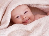 Tôi cần tìm 1 người giúp việc nhà biết nấu ăn giởi bao ăn ở Tôi cần tìm 1 người giúp việc nhà biết nấu ăn giởi bao ăn ở