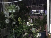 Bán Mặt Tiền Nhật Tảo 4 tầng, 6 PN, giá 14,5 tỷ Bán Mặt Tiền Nhật Tảo 4 tầng, 6 PN, giá 14,5 tỷ